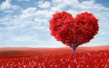 Согласно традиции 14 февраля празднуется День святого Валентина