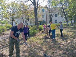 Благоустройство территории