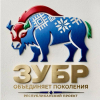Республиканский творческий проект «Зубр объединяет поколения»