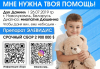 Даниилу нужна наша помощь